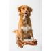 Jumbo Size Roasted Beef Shin Leg Bone Dog Treats Dog Food Dog All Natural and Healthy Dog Bone Treat Chews. Premium Grade XL Bone 1.5kg - Perfect for Medium and Large Dogs - Buy Online on GoSupps.com
