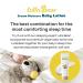 Lulla Bear Dream Moisture Baby Lotion by Alex & Kate - Vegan, Cruelty-Free, Hydrating Face & Body Cream for Sensitive Skin - Essential for Newborns - Natural Calming Scents - Paraben, Phthalates, & Dye Free - Buy Online on GoSupps.com