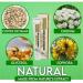 6PCS Chinese Herbal Hemorrhoids Cream | Painless Relief | Maximum Strength Anal Cream - Buy Online on GoSupps.com