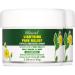 Ebanel Menthol Arnica Gel Pain Relief Cream with Hemp Oil Emu Oil MSM Camphor Vitamin B6 Anti Inflammatory Bruise Cream Muscle Rub for Arthritis Nerve Joint Neck Shoulder Back Pain 2-Pack 2.28 Ounce (Pack of 2)
