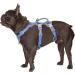 Huntboo Outbreak -proof dog harness safety dishes for dogs fully reflective dishes with handle breathable adjustable vest for small dogs that go (Vista blue s) Vista blue small (pack with 1)