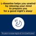 Nature Made Sleep Melatonin with L-Theanine Dietary Supplement - 30 Softgels - Buy Online on GoSupps.com