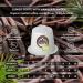 Lungo Forte BIO Caf Vanille - La Natura Lifestyle BAG - Buy Online on GoSupps.com