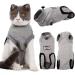 BT Bear Pet Surgery Recovery Suits Cats Clothes Abdominal Wounds Skin Diseases E-Collar Alternative Cotton Cat Shirt for Cats Puppy Small Dogs (XXS-Back length 25cm) XXS--Back length 25cm Chest--27cm - Buy Online on GoSupps.com
