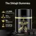 Eullsi Pure Shilajit Gummies for Men & Women Organic Ashwagandha Gummies 85+ Trace Minerals & 75% Fulvic Acid for Energy Stamina & Immune Support Vegan Non-GMO 60 Count - Buy Online on GoSupps.com