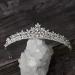 SWEETV Rhinestone Wedding Tiara - Princess Bridal Crown for Bride & Flower Girls | Silver+Clear - Buy Online on GoSupps.com