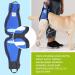Nature PET Carrier for Dogs - XXL Black - Stair Aid with Carrying Strap for Older Sick or Post-Op Pets - Dog Lift Support - Buy Online on GoSupps.com