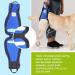 Nature PET Carrier for Dogs - Stair Aid with Carrying Strap Ideal for Older & Sick Dogs - Dog Lift (L Blue) | 1 Pack - Buy Online on GoSupps.com