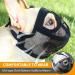 BARKLESS French Bulldog Muzzle Short Snout Dog Muzzle with Breathable Mesh for Shih Tzu and Pug Mask Frenchie Muzzle for Biting Chewing Licking Ideal for Grooming Vet Visits (XS Black) Black XS - Buy Online on GoSupps.com