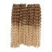 MeliSay 5 Packs Passion Twist Crochet Hair - 35.6 cm Water Wave Braids Synthetic Afro Kinky Extensions T27/613 - Curly Jamaican Bounce 14inch - Buy Online on GoSupps.com