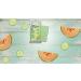 Buy T. Taio Cucumber-Melon Soap-Sponge 4.2 oz - Moisturizing & Refreshing Cleanse - Buy Online on GoSupps.com