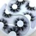 HBZGTLAD 56 Pairs Fluffy Faux Mink 3D False Eyelashes - Natural Strip Lashes Pack (WX28) - Buy Online on GoSupps.com
