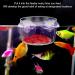 Vueinrg 8-Piece Aquarium Plant Pot Set - Decorative Glass Cups with Suction Cups for Shrimp Landscape Decor - Buy Online on GoSupps.com