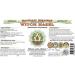 HawaiiPharm Witch Hazel Liquid Extract - Alcohol-Free Hamamelis Virginiana Glycerite Supplement 2 fl.oz (Pack of 1) - Buy Online on GoSupps.com