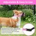 Singwow Adjustable Dog Muzzle | Prevent Biting, Barking, Chewing | Air Mesh Breathable | Small Medium Large Dogs (S) - Buy Online on GoSupps.com