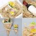 Natural Raffia Paper Christmas Raffia Ribbon for Florist Bouquets Decoration Crafts Raffia Ribbon 2X 50g brown - Buy Online on GoSupps.com