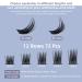 Buy Quewel Individual Eyelash Clusters C Curl Mix 8-16mm - DIY Eyelash Extensions for Stunning Eye Makeup - 1 Piece Pack - Buy Online on GoSupps.com