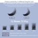 Lovely D Curl 14mm Individual Eyelashes - Single Quewel Segments for DIY Eyelash Extensions - 1 Piece Pack - Buy Online on GoSupps.com
