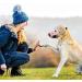 Buy Heele Dog Muzzle - Soft Nylon Breathable Mesh Basket for Comfortable Dog Training & Safety - International Shipping Available - Buy Online on GoSupps.com