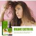 Castor Hair Oil for Hair and Scalp 60 ml Hair Oil Against Hair Loss to Stimulate Hair Growth and Care of the Scalp with Castor Oil Hair Oil Stimulates Hair Growth - Buy Online on GoSupps.com