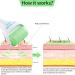 BFASU Ice Roller Set - 2 PCS Face Roller & Mini Eye Roller for Puffiness & Pain Relief (Green) - Buy Online on GoSupps.com