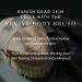 Aromatherapy Associates Revive Body Brush - Natural Dry Brush for Exfoliation and Circulation Boost - Buy Online on GoSupps.com