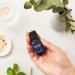 Ecodrop Pain Relief Essential Oil Blend - 10ml Bottle | Therapeutic Grade Peppermint Wintergreen Eucalyptus Camphor & German Chamomile - Buy Online on GoSupps.com