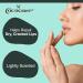 Cococare Aloe Vera Lip Balm 0.15 Oz - Soothing Relief for Chapped Lips | Buy Online - Fast International Shipping - Buy Online on GoSupps.com