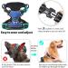 Buy Heele Adjustable No-Pull Dog Harness for Small Dogs - Reflective Breathable & Padded Handle - XS Size Ideal for Chests 33-43cm - Blue - Buy Online on GoSupps.com