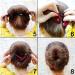 JIAHAO Magic Silk Wire Hair Styling Roll Bun Clip Maker - Small - Buy Online on GoSupps.com