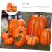 Warmhm 8pcs Halloween Decor Home Decor Autumn Decor Artificial Pumpkins Decor Photo Props Fall Photo Shoot Props Simulation Pumpkin Decor Scene Layout Adorn Ornaments Foam Cupboard - Buy Online on GoSupps.com