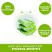 Pure Aloe Vera Drinkable Gel Unflavoured 500mL - Cold-Processed from Organic Fresh Leaves - for Heartburn Relief - Acid Reflux - Made In Canada (Pack of 2) 500 ml (Pack of 2) - Buy Online on GoSupps.com