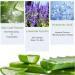 Trendyfave Aloe Vera Sheet Mask Collagen Face Mask Firming Repair Korean Face Mask Niacinamide Facial Mask Firming Anti-Wrinkle Mask Hydrating & Nourishing & Natural For All Skin Types - Buy Online on GoSupps.com