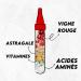 Vigne Rouge Astragale Arginine et B ta-Alanine - FITNESS SHOT Booster | Tonifie les muscles | De l'explosion pendant les efforts | Fabriqu en France. - Buy Online on GoSupps.com