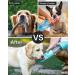 Portable 2in1 Dog Water Bottle with Filter & Food Container | Leak Proof Pet Water Dispenser for Outdoor Walking | BPA Free - Buy Online on GoSupps.com