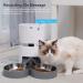 Smart Cat Feeder - WellToBe Automatic WiFi Pet Food Dispenser with Voice Recorder & Portion Control, White - Buy Online on GoSupps.com