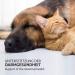 Anitorte Prebiotic Topinpur VET 30ml - Natural Jerusalem Artichoke for Dogs & Cats | Digestive Health Inflammation and Bacterial Flora Support - Buy Online on GoSupps.com