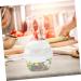 HOLIDYOYO Box Box Lunchbox Bento Container Lunch Boxes Lunch Holder White Compartment Box Pp Double Layer 15.8X15.8X14.3CM 10TUI4923B White 15.8X15.8X14.3CM - Buy Online on GoSupps.com