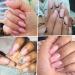 Makartt Poly Nail Gel 50ML - Builder Gel for Nail Extensions in White, Pink, Nude, Clear, and Rosy Shades - Ideal for Technicians, Beginners, and Salon Designs - Buy Online on GoSupps.com