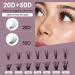 DIY Lash Extension Kit 280pcs - 20D+50D 10-16mm Mix C/CC/D Curl Cluster Lashes with Bond and Seal Tweezers - Soft Light Eyelash Extension Kit for Home Use - Buy Online on GoSupps.com