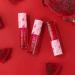 NICEFACE Fruit-Flavored Lip Gloss Oil Set - 3-Piece Fresh Lip Glaze for Moisturized & Plump Lips - Long-Lasting Care in 3 Colors - Buy Online on GoSupps.com