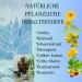 Green idea - Gel froid anti douleur TATRA Arnica Marron 12 Huiles Essentielles Gel rafra chissant - Soulage les douleurs musculaires et articulaires - r g n ration apr s le sport - 250 ml - Buy Online on GoSupps.com