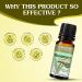 SWOSH Rosemary Oil for Dry Hair & Scalp - 10ml Natural Essential Oil for Healthy Hair & Skin | International Shipping Available - Buy Online on GoSupps.com