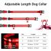 Masbrill Luminous Dog Collar - Waterproof LED Adjustable Safety Band with 3 Flashing Lights for Small Medium & Large Dogs (38-50cm/15-19.7inch) - Red - Buy Online on GoSupps.com