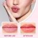  SOYDAN Rollerball Lip Oil - 4 ml - Non-sticky lip balm - Winter cosmetic for adults - Clear lip care oil for meetings dates shopping travel Soydan - Buy Online on GoSupps.com