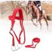 Zerodis Adjustable Red Horse Bridle with Soft Cushion Rein - Premium Harness Headstall - Buy Online on GoSupps.com
