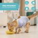 Avont Katzenbody: Modal Recovery Suit for Cats - Post-Surgery Spay & Weaning Protection - Lavender S - Buy Online on GoSupps.com