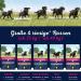 Eukanuba Junior Dog Food with Fresh Chicken for Large Breeds - Premium Dry Food 3 kg Pack - Buy Online on GoSupps.com
