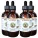 Du Zhong Alcohol-Free Liquid Extract Du Zhong Eucommia (Eucommia Ulmoides) Bark Glycerite Hawaii Pharm Natural Herbal Supplement 4x4 oz 4 Fl Oz (Pack of 4)