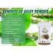 CROV Giloy Powder/Guduchi/Tinospora cordifola Powder - 500 GM X 2 1 KG by B Naturall - Buy Online on GoSupps.com